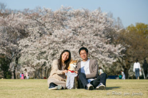 ペットと桜と菜の花と一緒に残すマタニティフォト｜見晴公園
