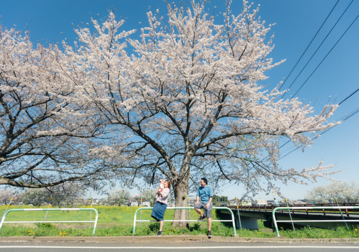 aiPhoto_youfamily 桜　家族写真