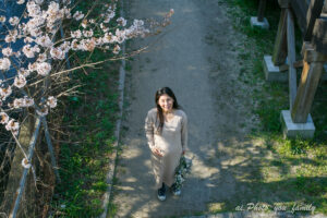 ペットと桜と菜の花と一緒に残すマタニティフォト｜見晴公園